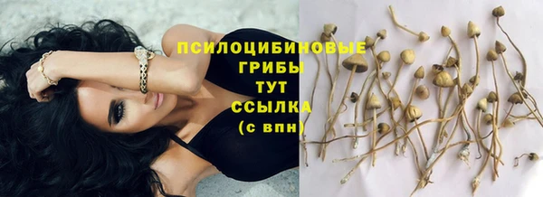 МДПВ Пестово