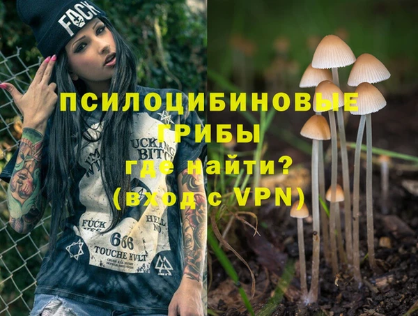 твердый Пересвет