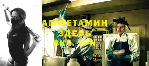 твердый Пересвет