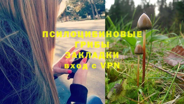 ешки Абинск