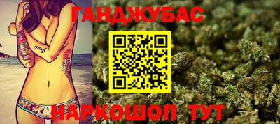 гидра Кингисепп