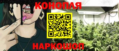 гидра Кингисепп