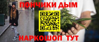 гидра Кингисепп