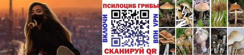 как найти   Кохма  Псилоцибиновые грибы прущие грибы 
