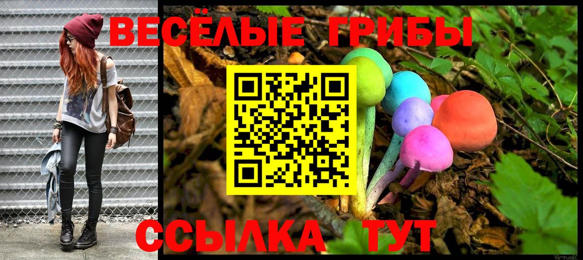 Галлюциногенные грибы MAGIC MUSHROOMS Кохма
