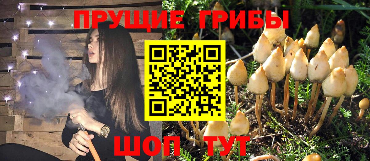 Псилоцибиновые грибы мицелий  наркота  Кохма  Вход с VPN 