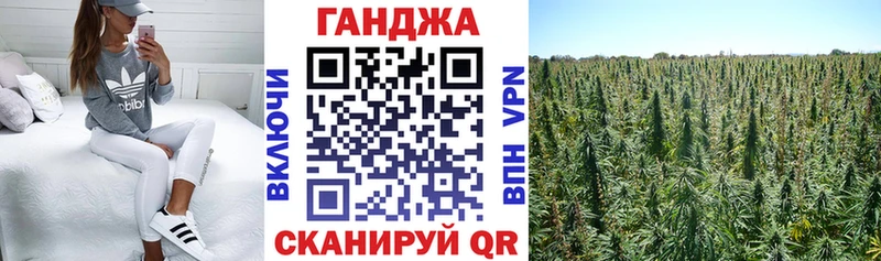 blacksprut вход  Кохма  Конопля Bruce Banner 