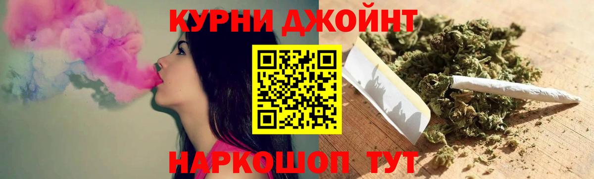 Конопля план Кохма